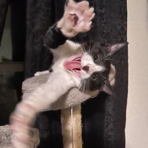 Meet your Posher, Erica